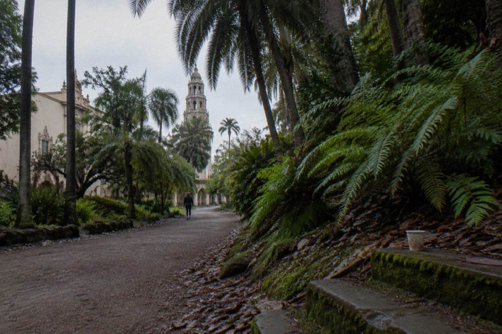 A shaded garden path at Balboa Park on a quiet morning