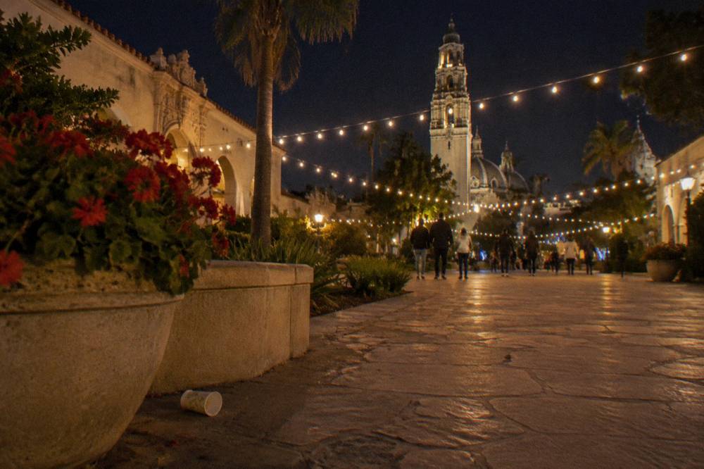 Festival lights glowing over a park promenade after dark