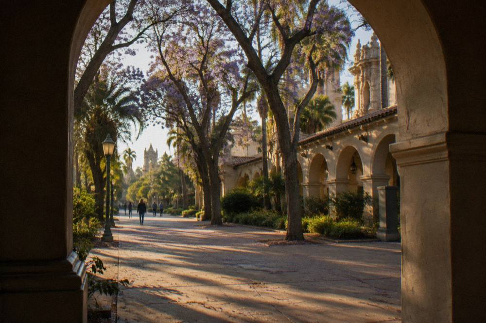 Tree-lined walkway with Spanish-style building facades in Balboa Park