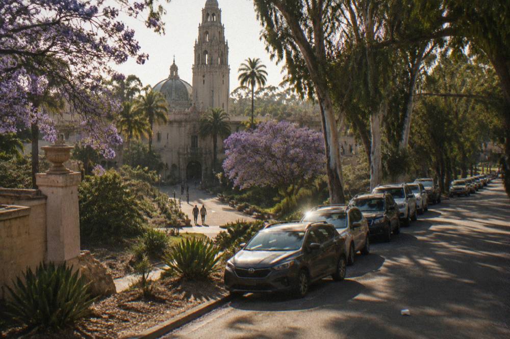 Rows of parked cars along a tree-lined street beside a park
