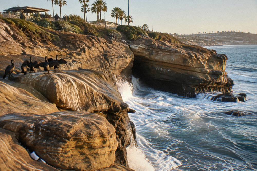 Rocky cliffs above a cove with waves breaking at the base of the rocks