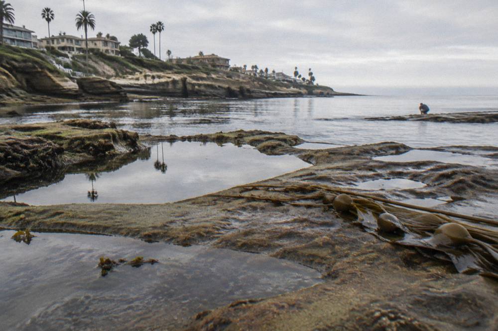 Rocky La Jolla shoreline with exposed tide pools and calm ocean water at low tide