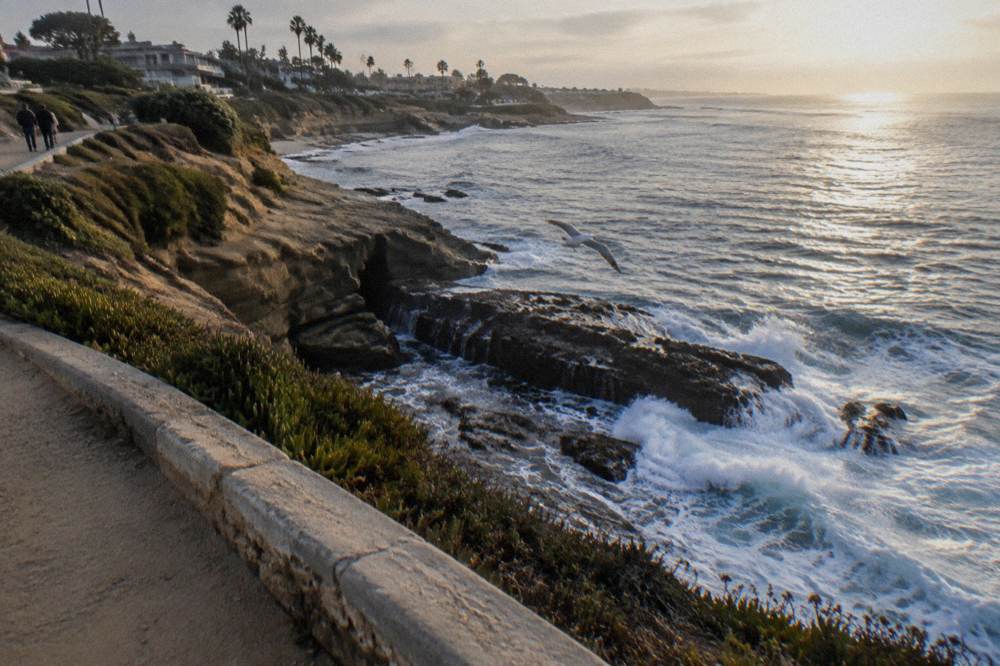 Ocean overlook above La Jolla with waves breaking on the rocks below