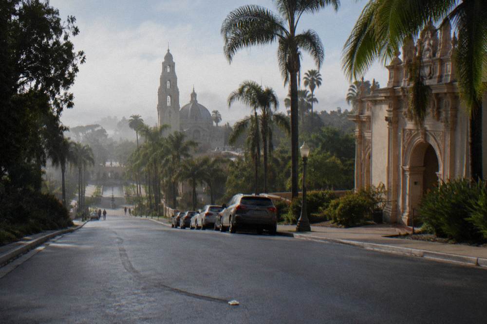 A palm-lined road through Balboa Park with cars parked along the curb