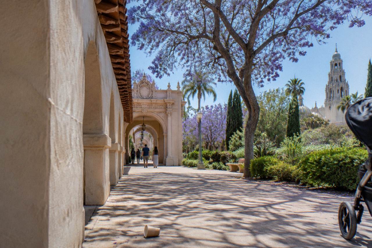 Museum buildings and gardens along El Prado in Balboa Park under a clear sky