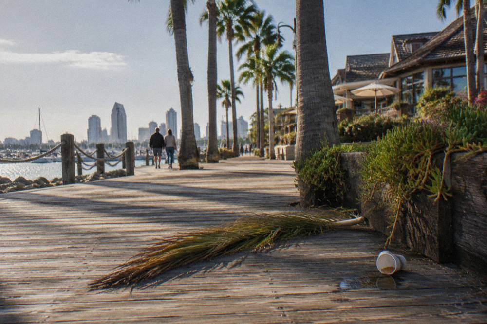 Palm-lined boardwalk beside the bay at Seaport Village