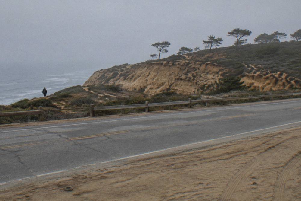 Torrey Pine trees and eroded sandstone bluffs above the Pacific Ocean