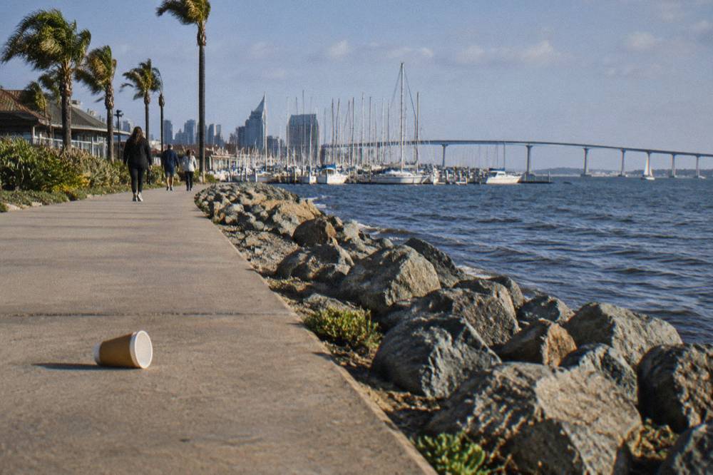 A public waterfront promenade along San Diego Bay with moored ships and an open walkway