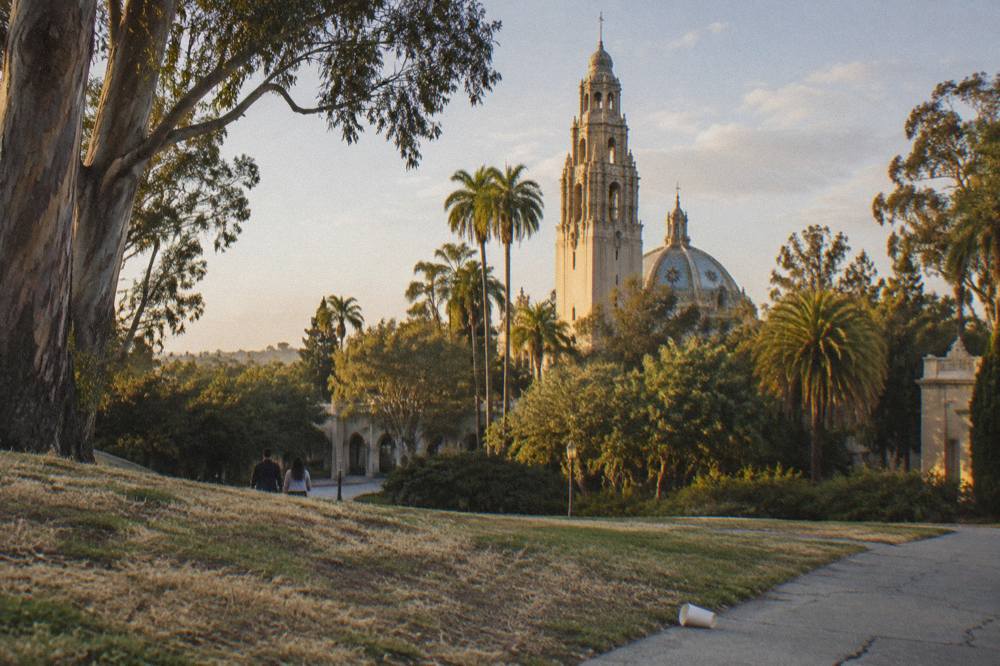 The California Tower rising above Balboa Park gardens under a clear sky