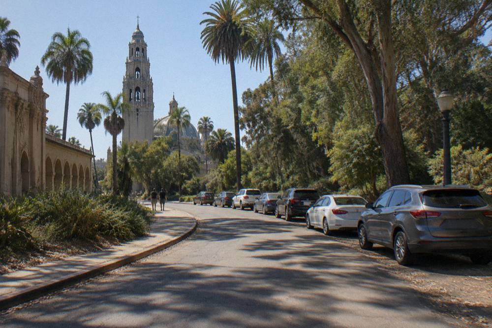 A curving Balboa Park roadway lined with palm trees and parked cars in afternoon sun