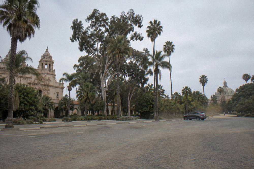 Open perimeter parking lot with palm trees at the edge of Balboa Park