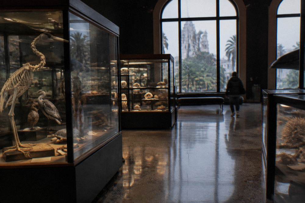 Gallery hall with display cases and visitors viewing exhibits