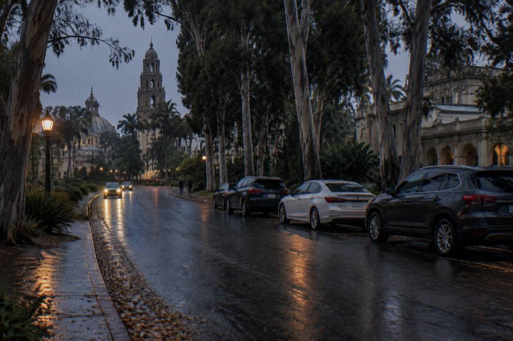 Tree-lined park roadway with parked cars along the curb