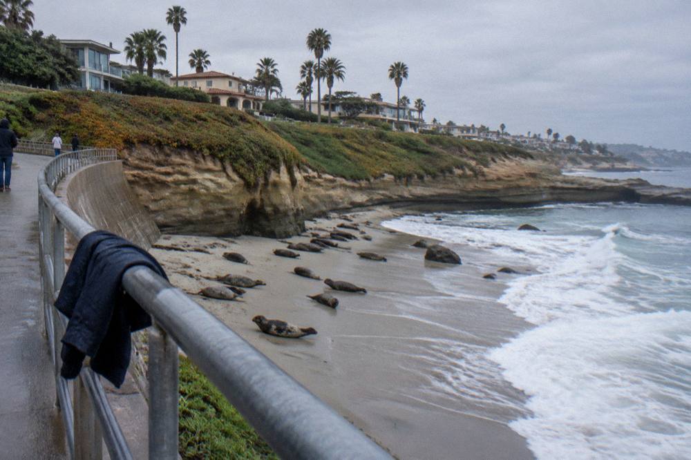 Waves breaking below a sandstone cliff overlook at the coast
