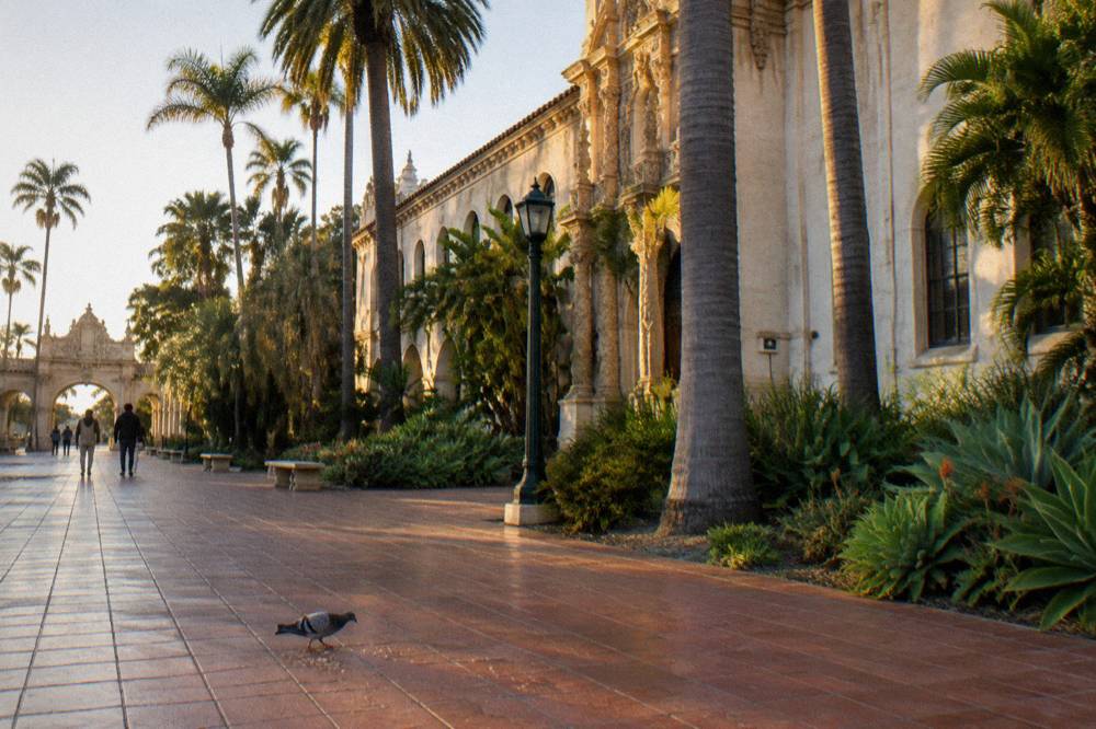 Museum building facade with columns beneath palm trees