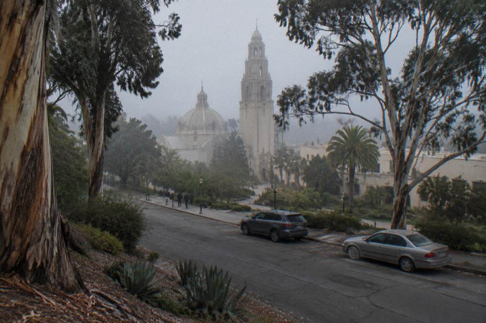 Tree-lined street and parked cars at the edge of Balboa Park