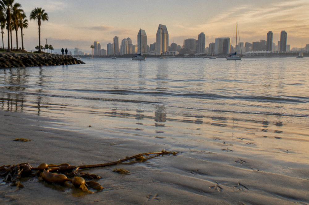 City skyline across calm bay water with small boats at anchor in late afternoon light
