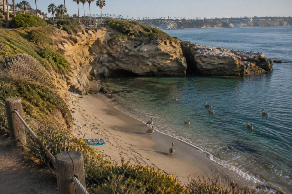 A small sheltered beach below sandstone bluffs with calm green water