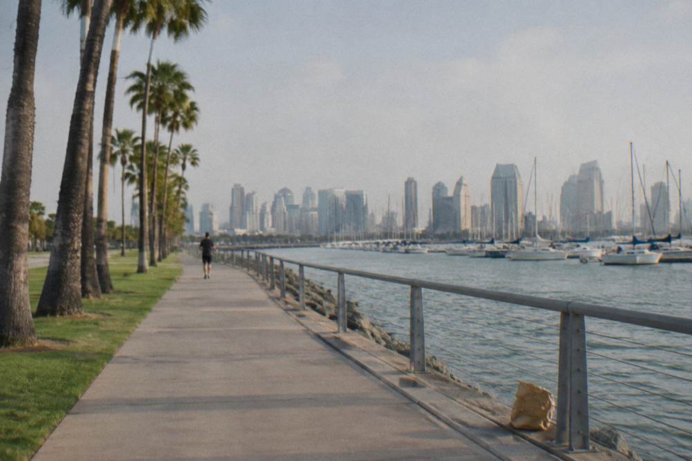 A bayside walkway with palm trees and sailboats moored on calm water