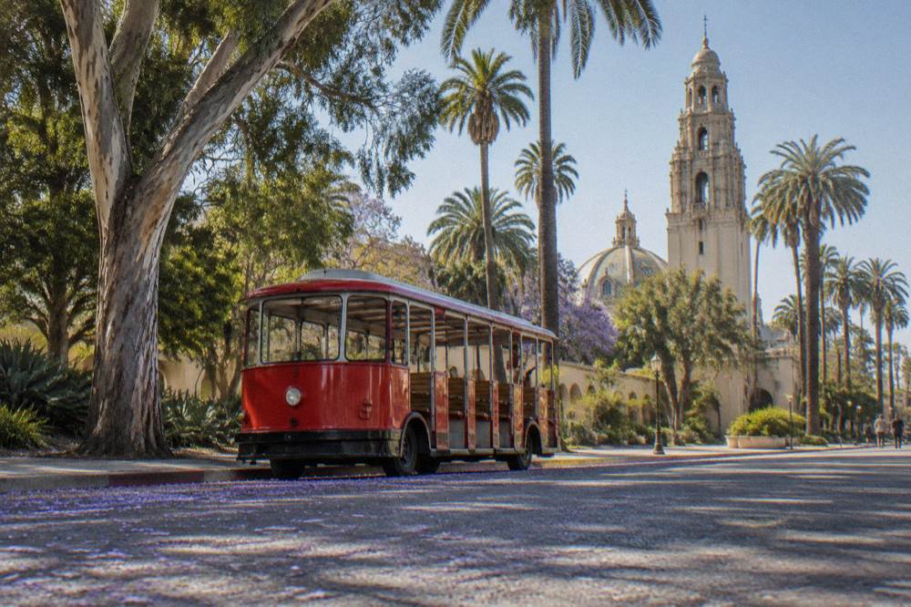 A red tram parked beside trees on a wide park boulevard
