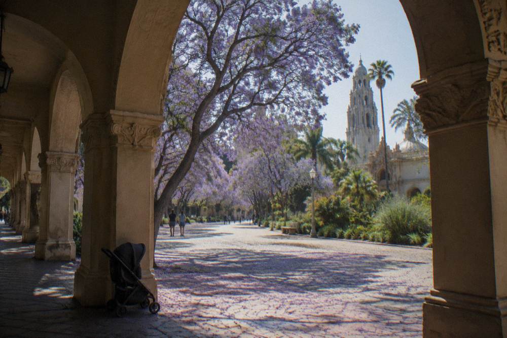 Gardens and walkways on the free grounds of Balboa Park
